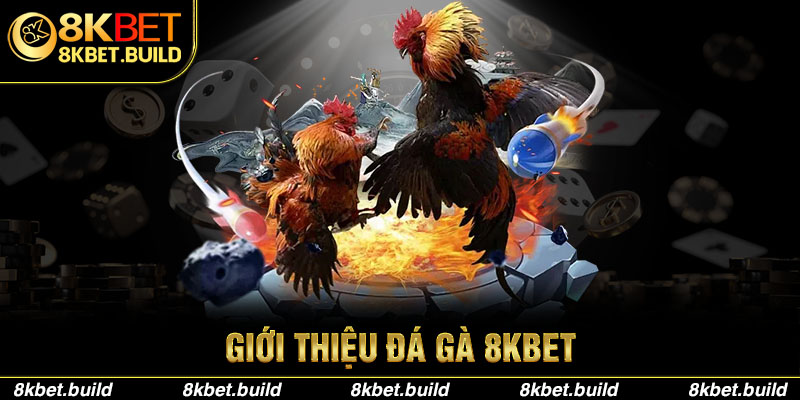 Giới thiệu đá gà 8KBET